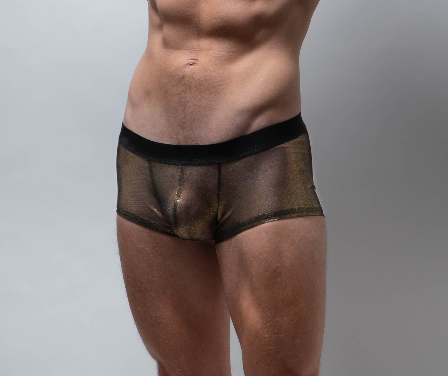 Mesh Mini Brief